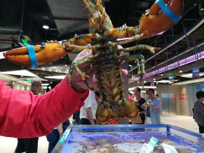 走馬觀花十里堡盒馬，新零售的水產(chǎn)品長(zhǎng)啥樣？