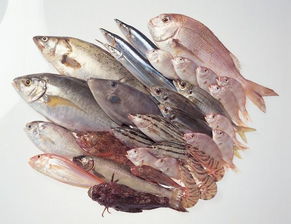 2016年1-9月龍巖市水產(chǎn)品零售價(jià)格形勢分析